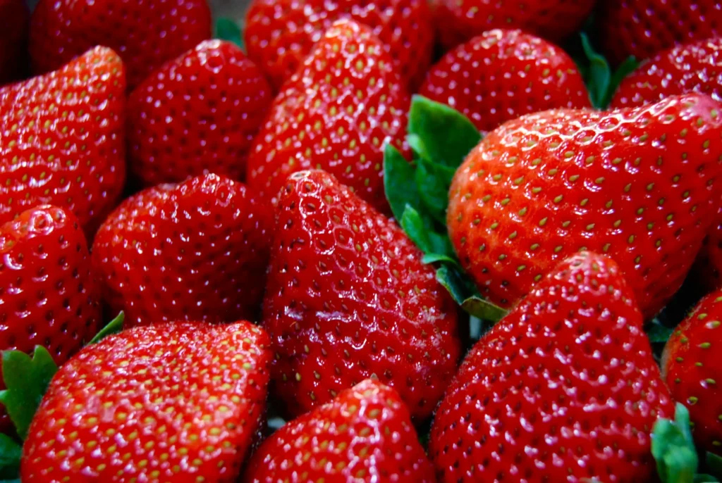 Des fraises bien rouges en gros plan.